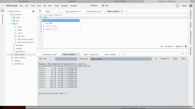 printf, Function Pointers, qsort and all that. смотреть онлайн