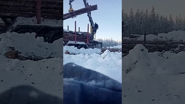 поменял вид деятельности! смотреть онлайн