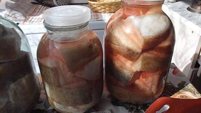 Обзор сала в банках// длительное хранение// через 5 месяцев //Рецепт сала в рассоле//сухой посол смотреть онлайн