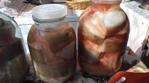 Обзор сала в банках// длительное хранение// через 5 месяцев //Рецепт сала в рассоле//сухой посол