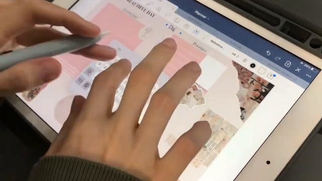 Aesthetic Pink Bullet Journal / Ipad goodnotes смотреть онлайн