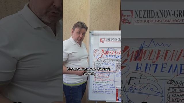 5 уровней эмоционального интеллекта смотреть онлайн