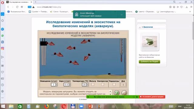 Аквариум как экосистема смотреть онлайн