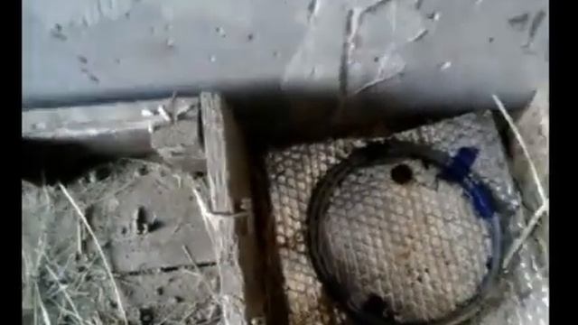 ЗИМНЕЕ ОТОПЛЕНИЕ ВОДЫ В НЕОТАПЛИВАЕМОМ САРАЕ СВОИМИ РУКАМИ смотреть онлайн