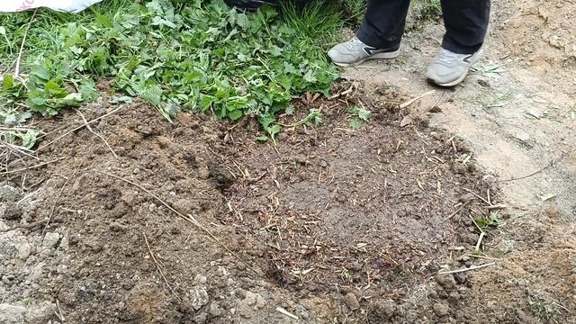 Готовим оптимальные? грядки под тыквы и кабачки. Садовые работы и заботы??. смотреть онлайн