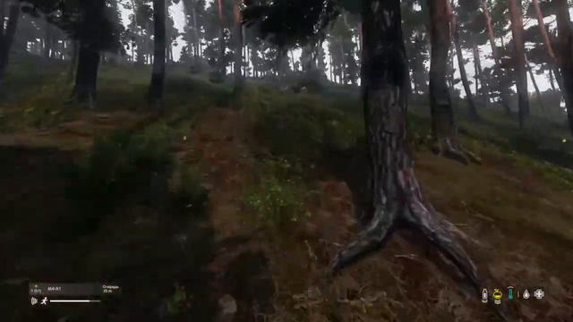 DayZ, злая девочка сказала всех убевать. смотреть онлайн