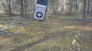 Вторая жизнь фотоэкспонометра Ленинград-4.