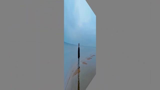 Осенняя прогулка к морю с Артёмом. смотреть онлайн