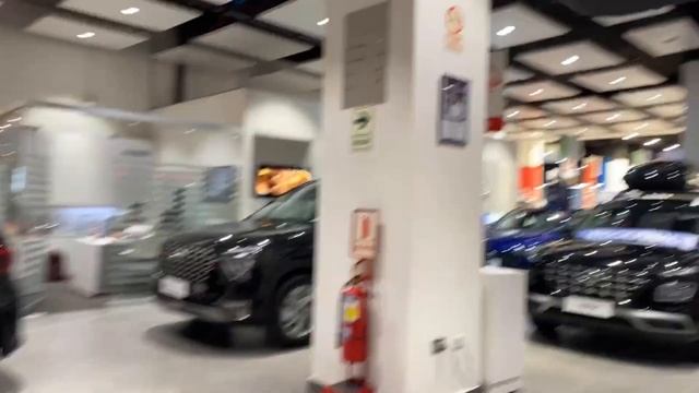 HYUNDAI MODELOS EN STOCK CON WIGOMOTORS EN EL MALL DEL SUR смотреть онлайн