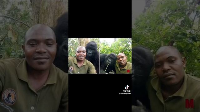 Братья меньшие