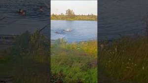 Крик души 🤣👍