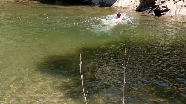 VID_20190809_125549.mp4 смотреть онлайн