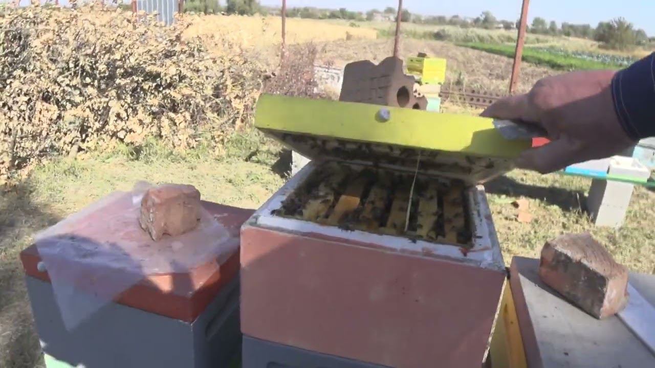 МИНИПЛЮСЫ ИТОГИ И ВЫВОДЫ смотреть онлайн