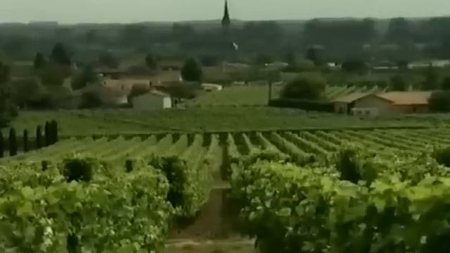 Плесен смотреть онлайн