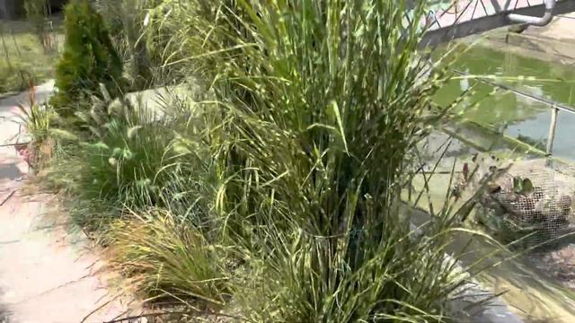 Где прятался Амур… смотреть онлайн