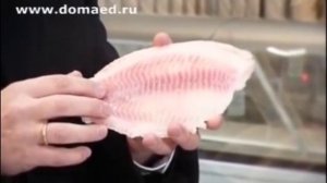 FishLine. Промысловый лов кильки и кефали в Каспийском море