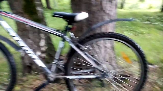 Тест велосипеда Стерн динамиг 2.0 смотреть онлайн