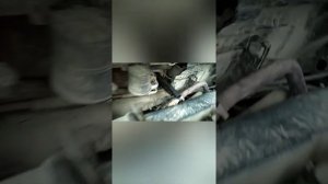 Установка радиатора печки Форд фокус 2