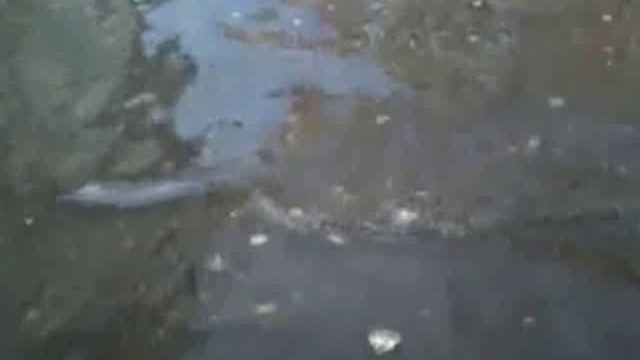 ДТВ. Дорожные войны. 15.07.2011 смотреть онлайн