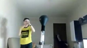 Боевые ботаники комнатный боксер