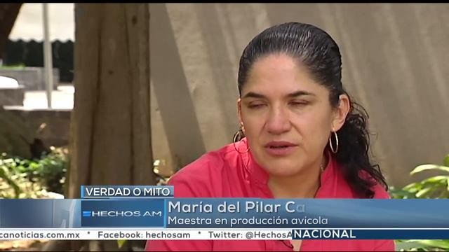 Verdad o Mito: ¿Se debe lavar el pollo antes de comerlo? смотреть онлайн