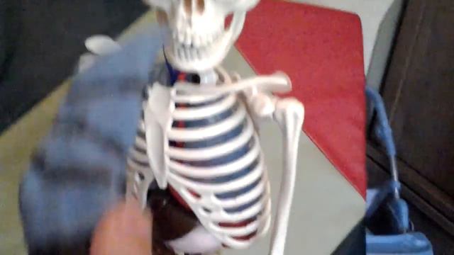 Я против скелета 3 смотреть онлайн