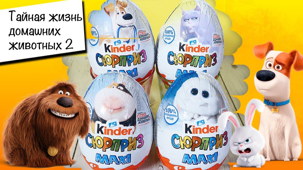 Киндер MAXI PETS 2 | Тайная Жизнь домашних животных 2 | НОВИНКА 2019 | Kinder Surprise смотреть онлайн