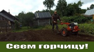 Сеем горчицу с мотоблоком мтз Беларус 09Н и индюшиное хозяйство!