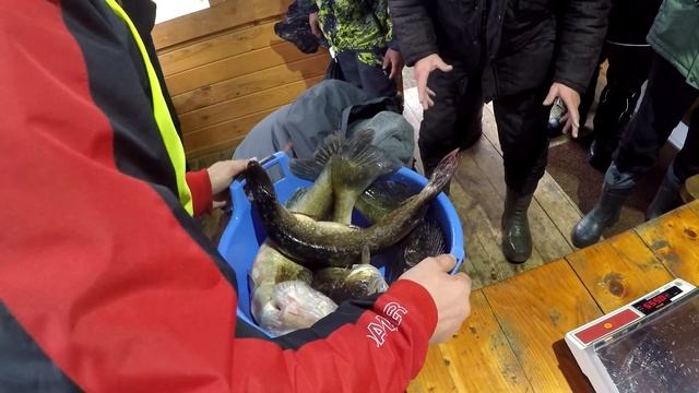 СМОЛЕНСКИЙ ОСЕННИЙ ХИЩНИК 2019! смотреть онлайн