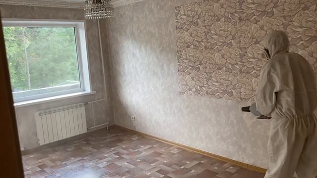 Уничтожение клопов тараканов в квартире смотреть онлайн