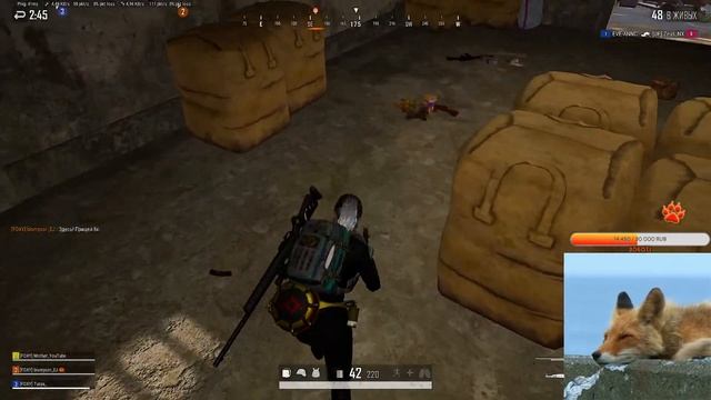 Mother?PUBG BATTLEGROUNDS /Света упала, поднимите/Девушка стримит пабг?