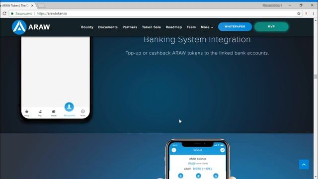 Обзор ico Araw (часть 5) - Будущее электронной коммерции смотреть онлайн