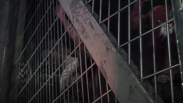 GTX 970 & i7-4790k on Dead Rising 3 - Full HD смотреть онлайн