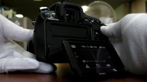 Sony a550 DSLR
