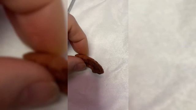 Ноутбук Acer Aspire 5: повреждена матрица, частично не работает клавиатура, сильно шумит при работе смотреть онлайн