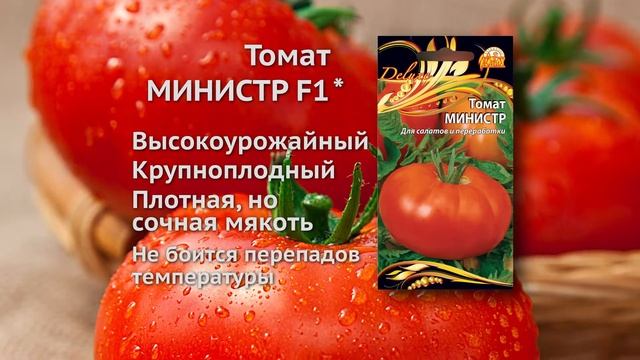 Томат Министр (10 секунд) смотреть онлайн