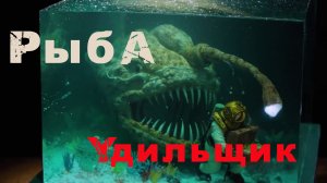 Диорама рыбы удильщика.mp4