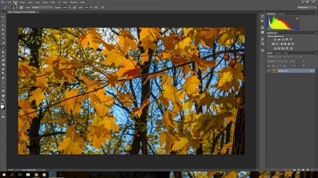 Пропал размер кисти в Фотошопе - РЕШЕНИЕ смотреть онлайн