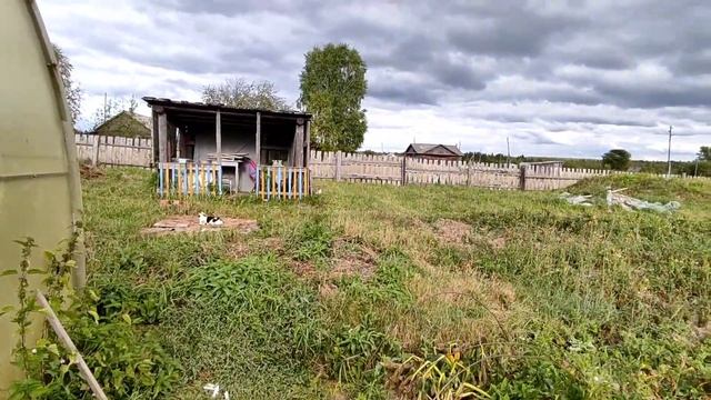 ПРИЕХАЛИ В ДЕРЕВНЮ! НАШЛИ ЦЕЛЫЙ МЕШОК СОКРОВИЩ! ЖИЗНЬ В ДЕРЕВНЕ НЕОБЫЧНОЙ СЕМЬИ! смотреть онлайн