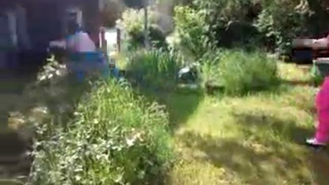 leider geil :D смотреть онлайн