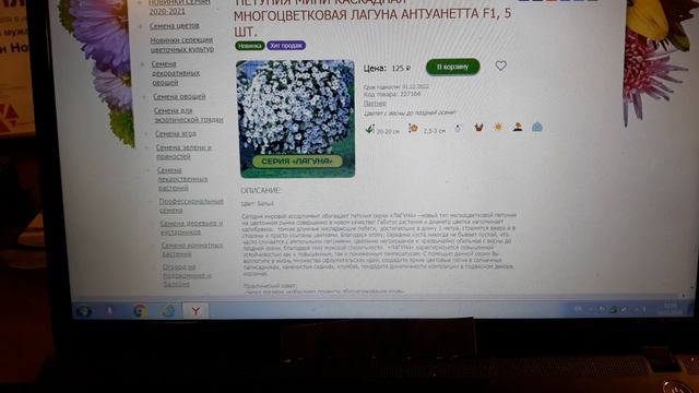 ЗАКАЗ СЕМЯН(НОВИНКИ ПЕТУНИЙ, САМЫЕ МИНИАТЮРНЫЕ СОРТА КОМНАТНЫХ ТОМАТОВ, МАХРОВАЯ КАРЛИКОВАЯ ЭУСТОМА смотреть онлайн