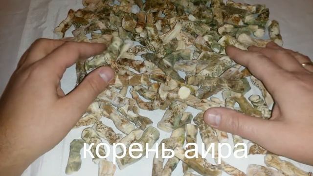 Корень аира, в наличии, купить, травы Беларуси. смотреть онлайн