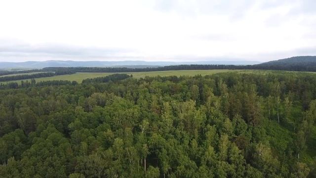 Сеанс регрессии в прошлые жизни. Разговор с Подсознанием - нашей мудрой частью , которая знает все смотреть онлайн