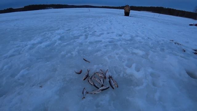 СУМАСШЕДШИЙ КЛЕВ НА ОЗЕРЕ В ФИНЛЯНДИИ / Зимняя рыбалка в Финляндии на Газ 66 смотреть онлайн