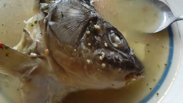 Шефская Тайна