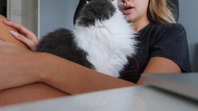 Testing Sleeping Hacks for Insomnia | Tips and Tricks смотреть онлайн