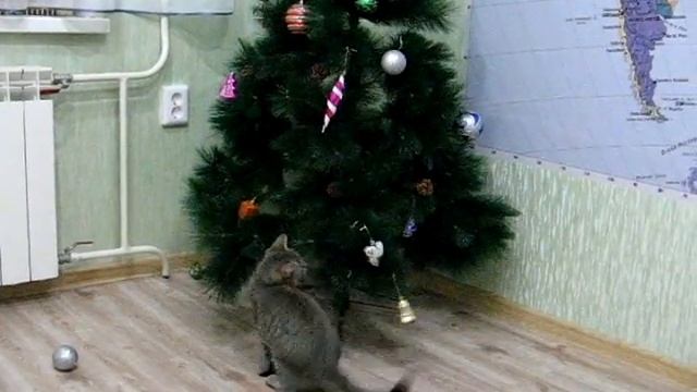 Кот и Новогодняя елка! Смех, да и только!)) смотреть онлайн