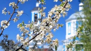 Вахтанг Кикабидзе ( Пасха )