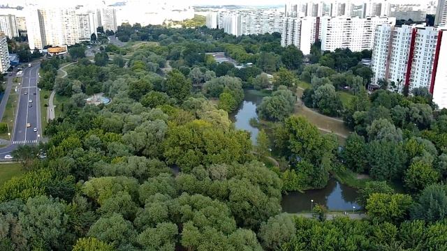Орехово Борисово и битком забитые пляжи Борисовских прудов. снято на квадрокоптер sjrc f11s 4 k pro смотреть онлайн