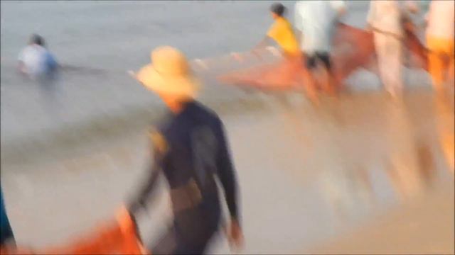 Рыбалка во Вьетнаме смотреть онлайн